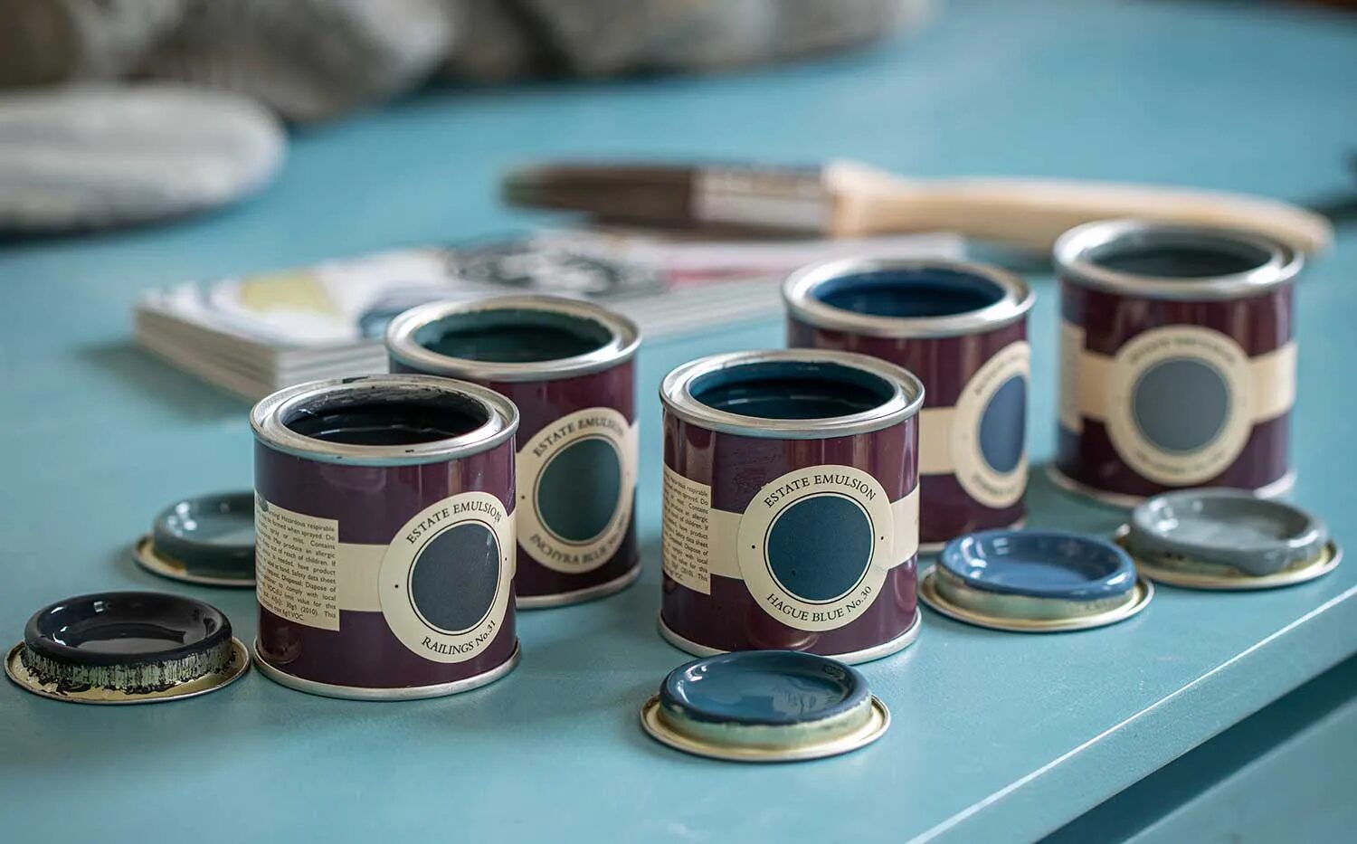 Farrow & Ball custom color consulTation